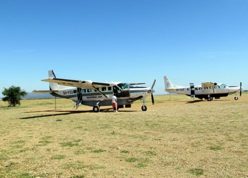3-Day Flying Safari from Zanzibar