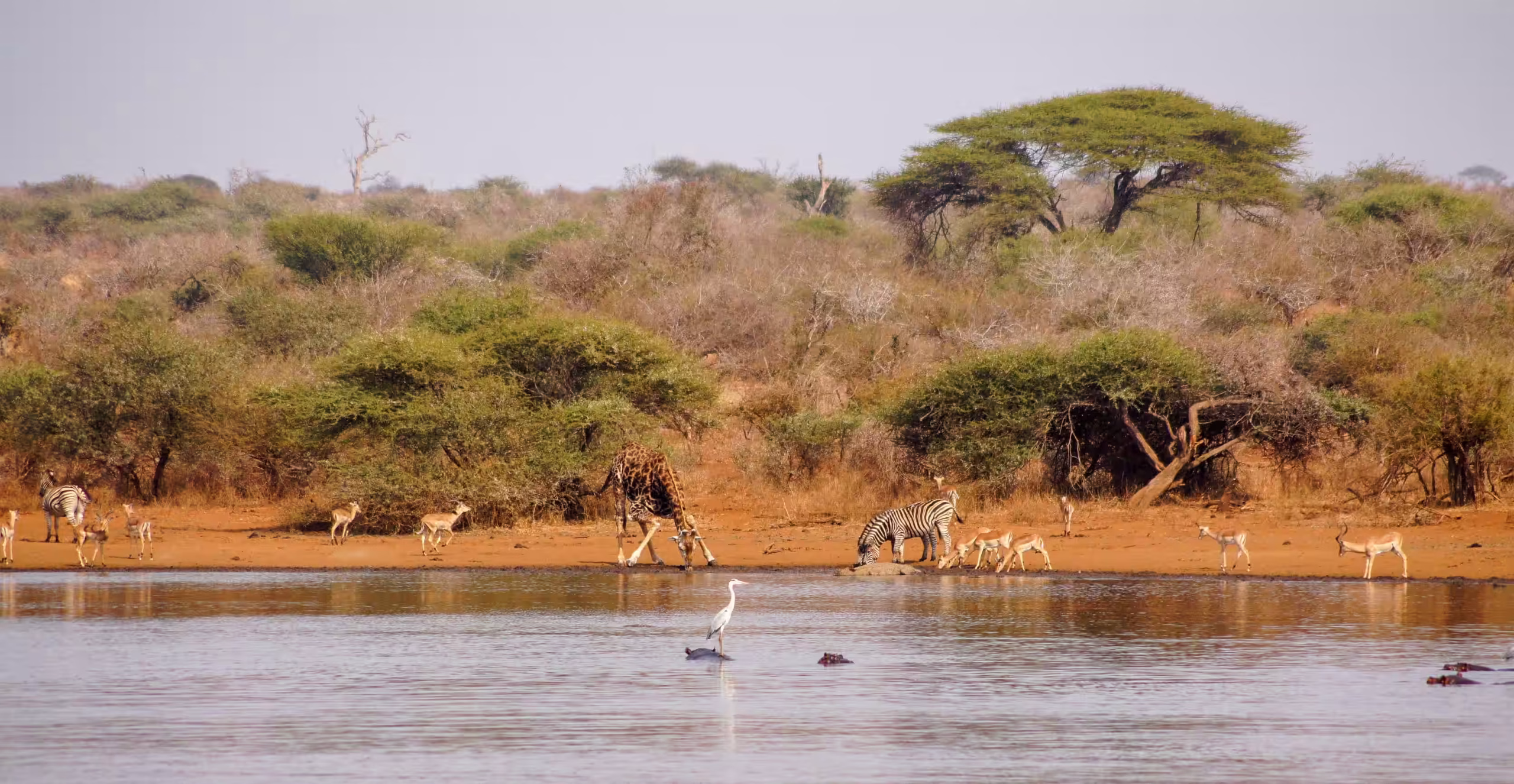 The Rufiji River - Nyerere National Park - 1200x900