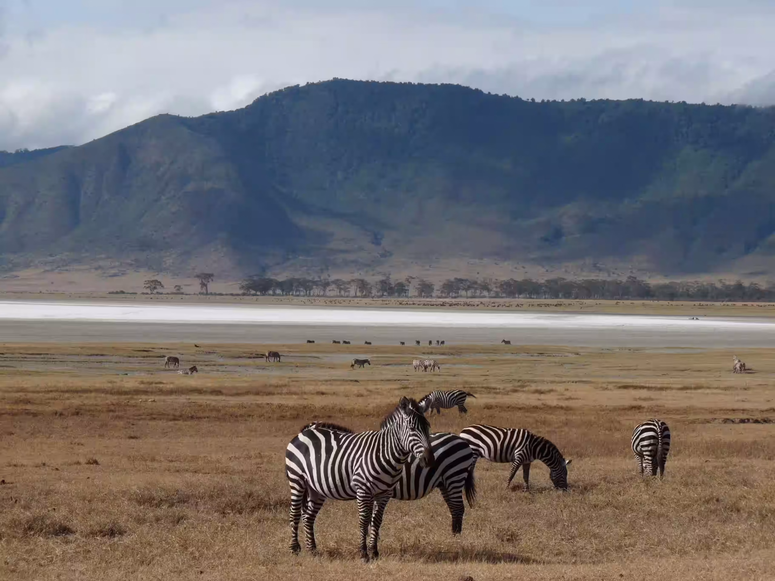 Ngorongoro Crater floor at dawn — 2400×1400