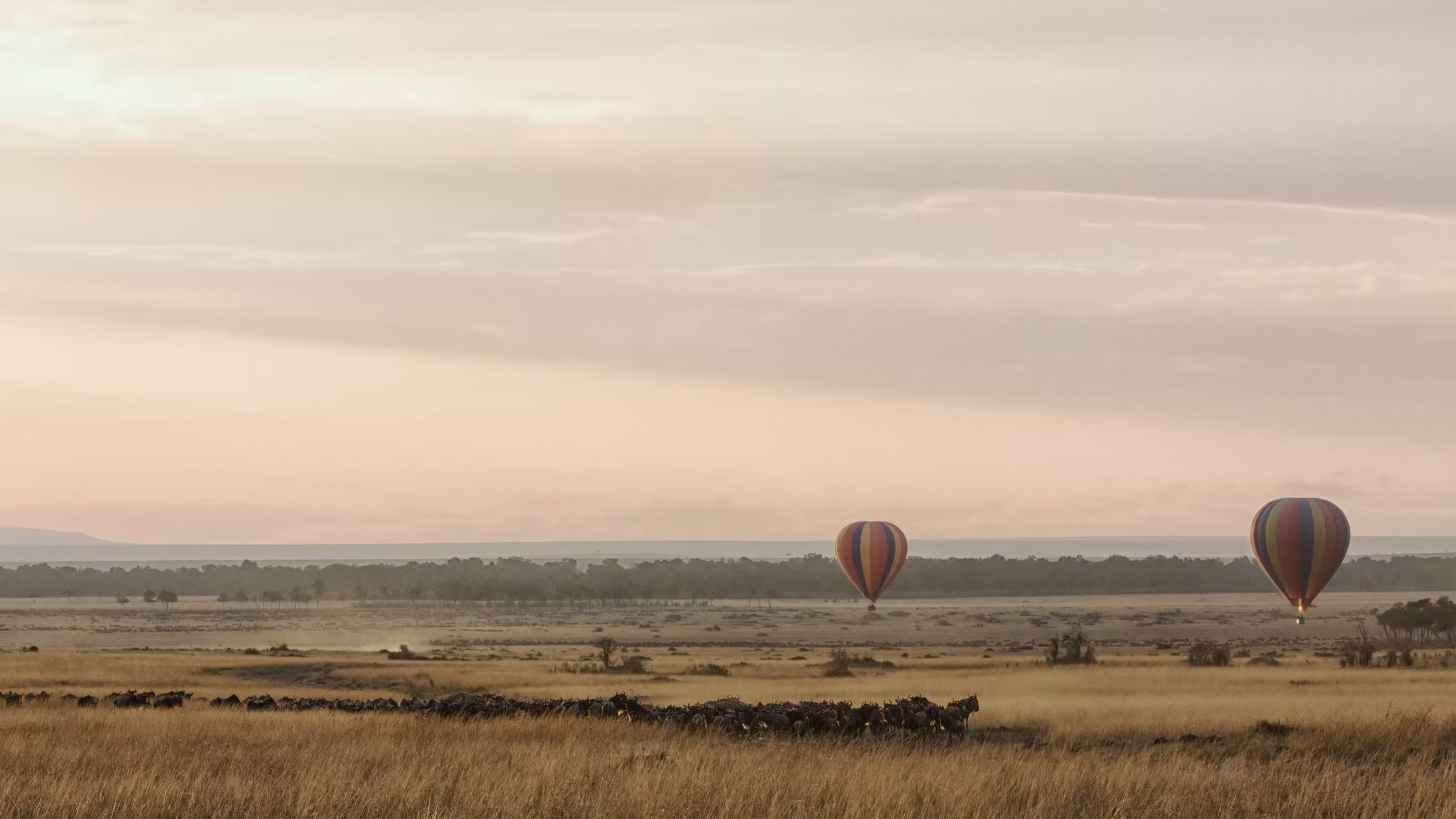 4-Day Serengeti Balloon Safari - 800x533