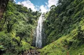 The Kakombe waterfall in the forest - Gombe Stream National Park