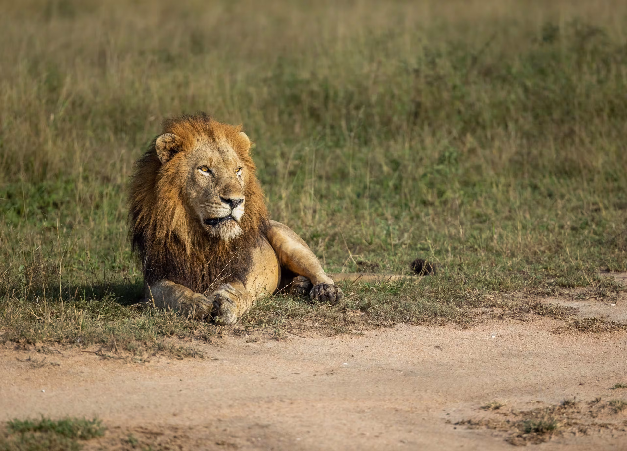 The Selous Wilderness - Nyerere National Park - 1200x900