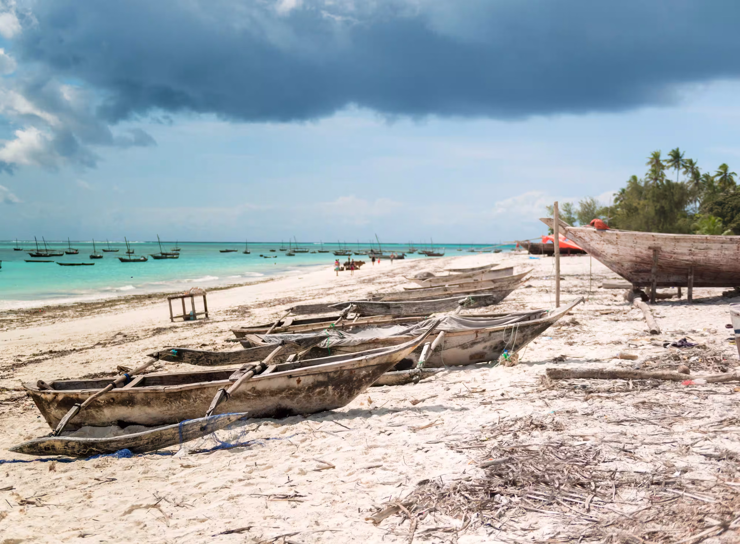 10-Day Grand Safari & Zanzibar - 800x533